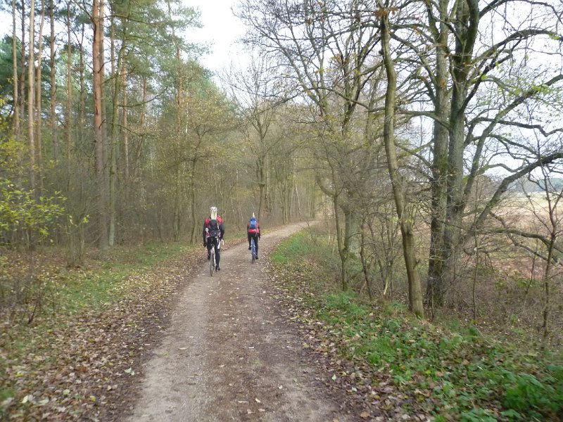 CTF Celle Abschildern Mirco 974
